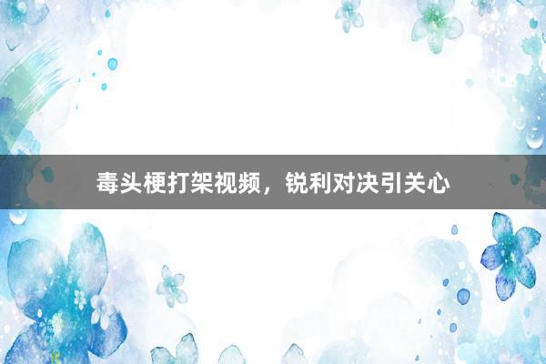 毒头梗打架视频，锐利对决引关心