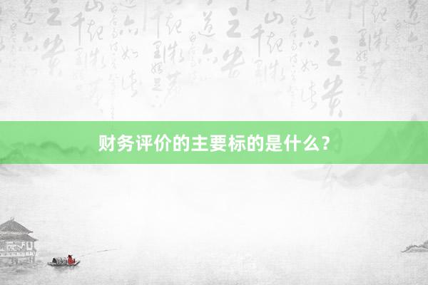 财务评价的主要标的是什么？